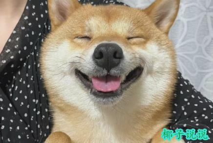 360截图20210902112405490.jpg