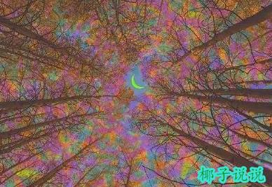 360截图20210907162108056.jpg