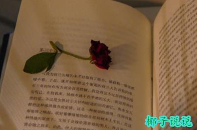 360截图20210915105853553.jpg