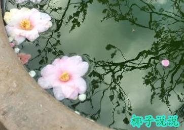 360截图20210924181434669.jpg