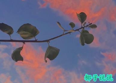 360截图20210927140251443.jpg