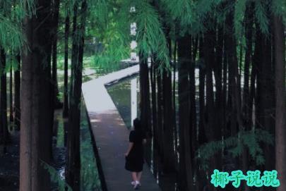 360截图20210929111223173.jpg