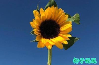 360截图20211015135757225.jpg