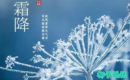 360截图20211020144943150.jpg
