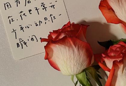 360截图20211116143646071.jpg