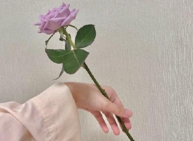 360截图20211125160330832.jpg
