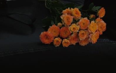 360截图20211223104836068.jpg