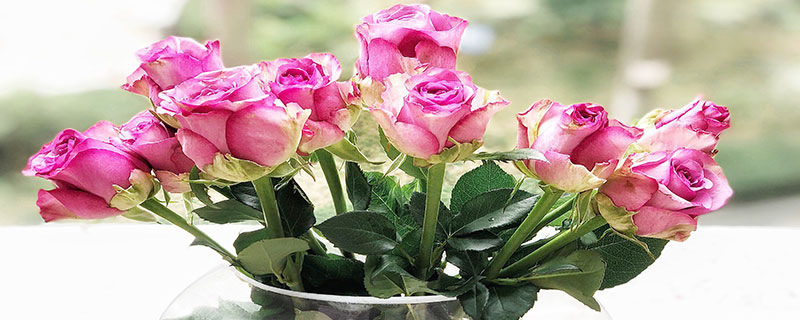 鲜花买来怎么保持新鲜 鲜花怎么保持新鲜