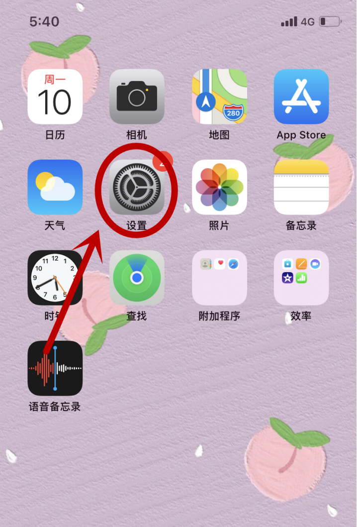 iPhone怎么解除流量限速
