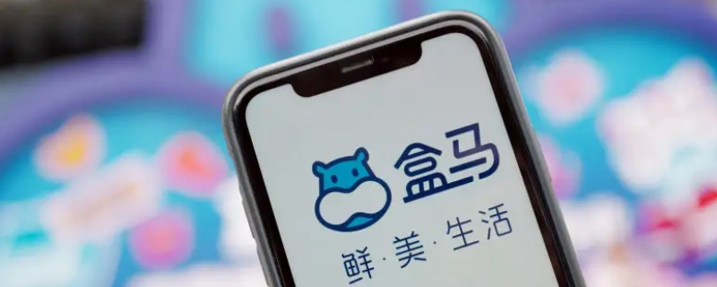 盒马是什么