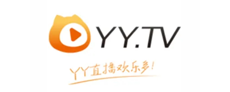 yy是什么平台