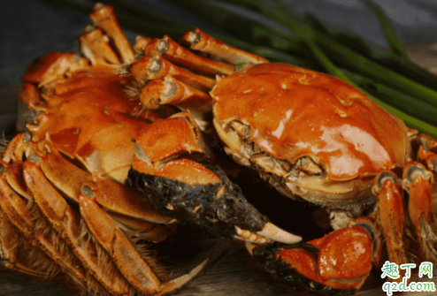 大闸蟹和梭子蟹哪个味道好 大闸蟹肉多还是梭子蟹肉多2
