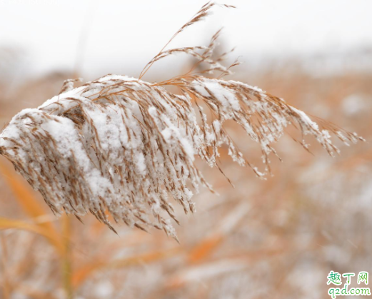 小雪节气会不会下雪 小雪节气的天气特点3
