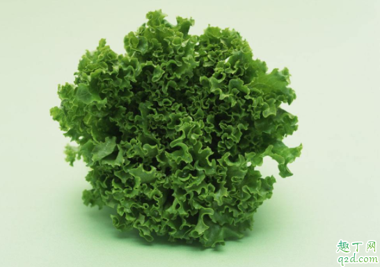 如何区分苦苣和生菜 苦苣和生菜的营养有什么区别1