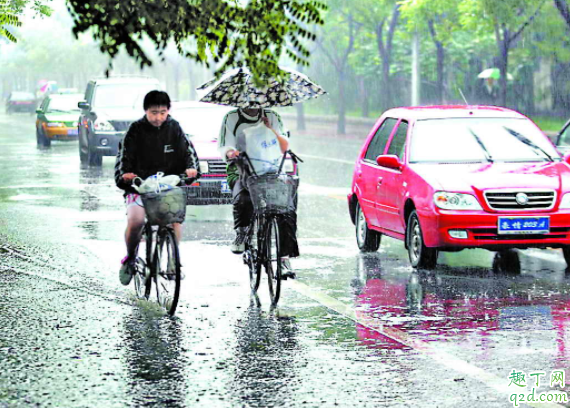 台风天下雨怎么开车 雨天开车要开雾灯吗4