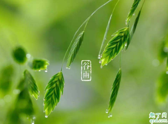 2020年哪天是雨水节气 2020的节气对应的日期3