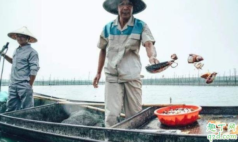 喂小龙虾苗是生豆浆还是熟豆浆 喂小龙虾苗的豆浆不煮可以吗2