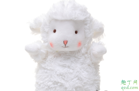 网红小羊玩偶在哪买 网红小绵羊bunnies多少钱3