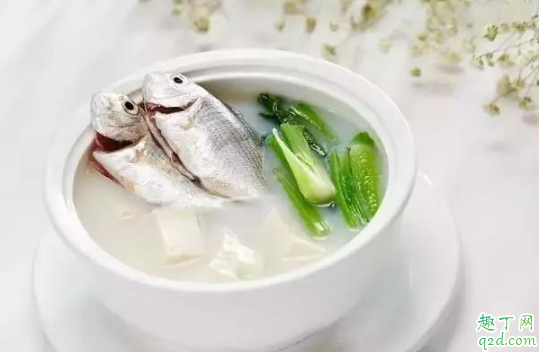 做鱼汤煎鱼用什么油好 做鱼汤煎过鱼的油要吗3