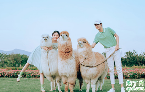 闺蜜结婚送1314元好吗 闺蜜结婚随礼几千合适1