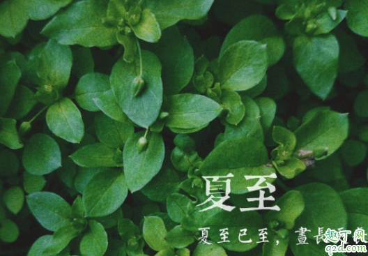 2020年夏至时间几点几分 2020夏至还有几天1