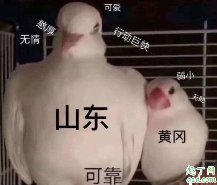 最近山东怎么了 为什么抖音山东火了20202