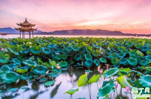 外地人回杭州需要隔离吗 现在可以回杭州了吗3