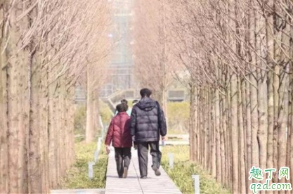 老夫老妻没有了感情应该怎么办 什么会消耗夫妻之间的感情 2