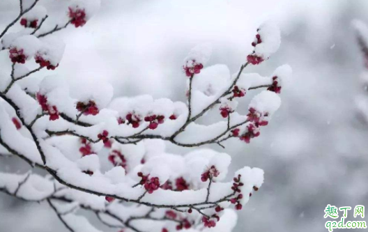 2021年大雪是什么时间 2021年大雪几点开始4