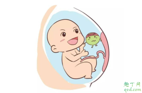 婴儿脐带脱落了还要包着吗 宝宝脐带掉了还要用护脐贴吗5