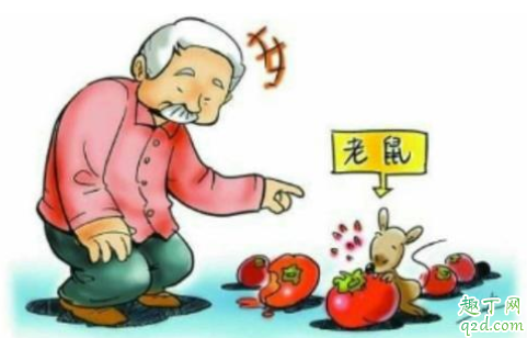出血热有传染性吗 出血热有疫苗吗4