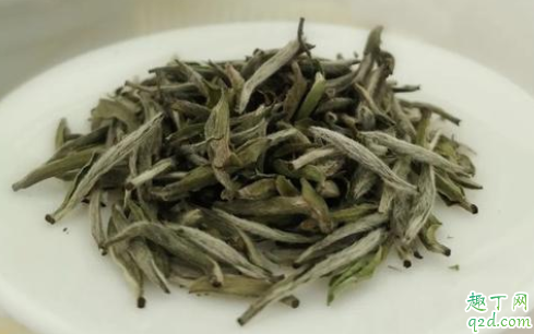 福鼎白茶喝新茶还是陈茶 为什么福鼎白茶喝完舌头麻1