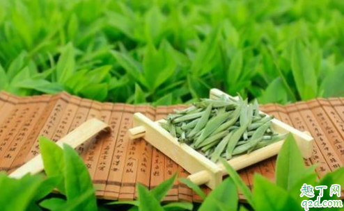 福鼎白茶喝新茶还是陈茶 为什么福鼎白茶喝完舌头麻5