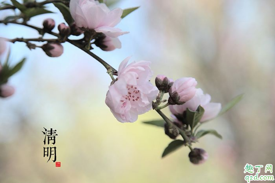 2020清明节过后天气是不是很暖和了 清明节过后就不冷了吗3