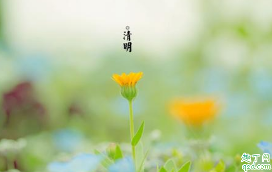 2020清明节过后天气是不是很暖和了 清明节过后就不冷了吗2