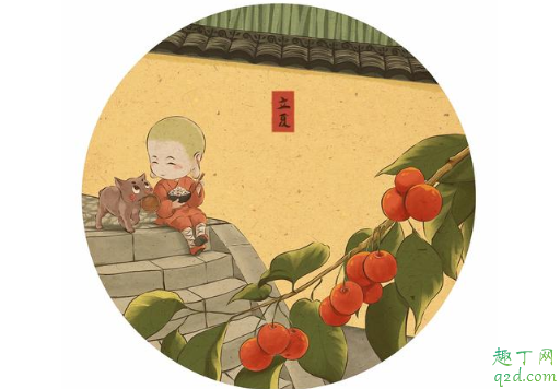 立夏为什么总在5月5日 每年立夏是什么时间5
