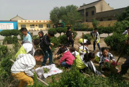 大中小学将设劳动必修课是真的吗 劳动必修课怎么上1