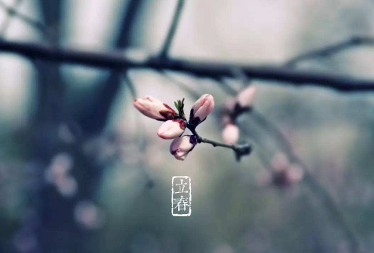 躲春可以和狗狗在一起吗3
