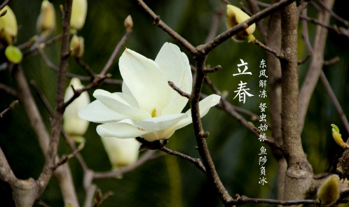 躲春可以和狗狗在一起吗2