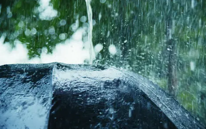 2022年端午下雨好还是不下雨好1