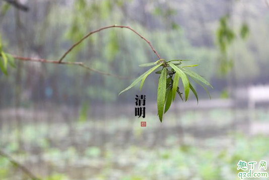 2020年清明节会下雨吗 预测2020年清明节天气2