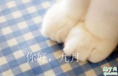 2019八月再见九月你好心情说说 适合发朋友圈的你好九月说说图片11