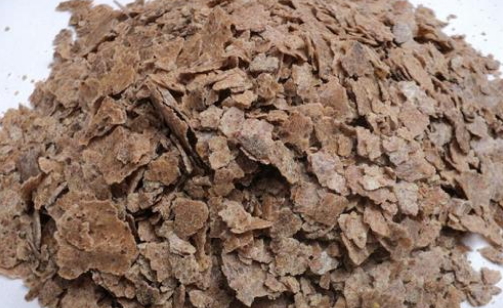 花肥用在室内有毒吗？千万别乱用1