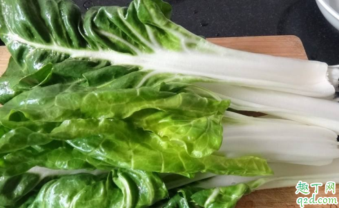 牛皮菜为什么是苦的？焯水这一步别忘了做4