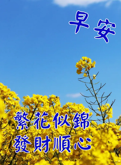 早上好图片新版2021动态图片问候7