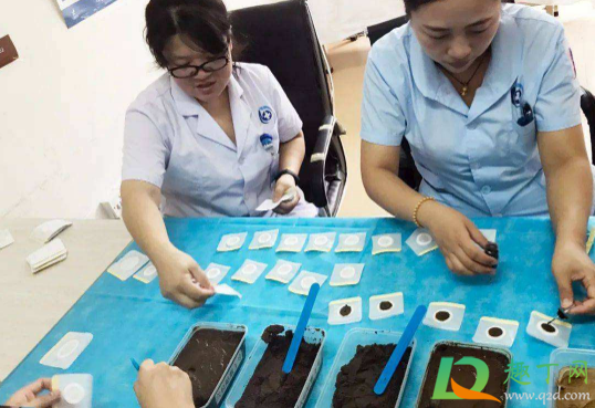 三伏贴过敏可以打过敏针吗3