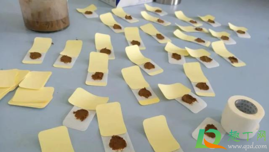 三伏贴干了加甘油可以吗3