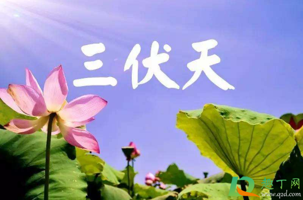 2020年三伏天最热多少度1