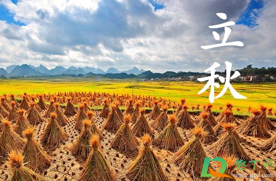 2020年立秋在几伏1
