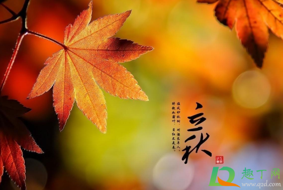 2020立秋后还有多少天伏天1